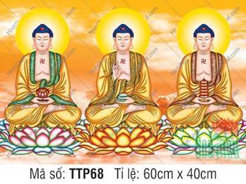 Hình Tam Thế Phật Size Lớn TTP68, ba Đức Như Lai đắp y phối gấm