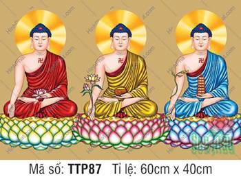 Hình Tam Thế Phật Size Lớn TTP87, ba Đức Phật khoác y phục ba màu