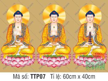 Hình Tam Thế Phật TTP07, ba Đức Phật ngự tọa sen hồng