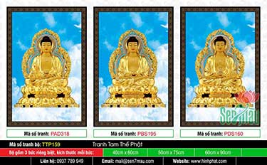 Hình Tam Thế Phật TTP159