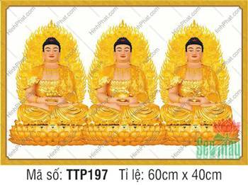 Hình Tam Thế Phật TTP197, bộ ba họa phẩm hào quang ngọn lửa vàng