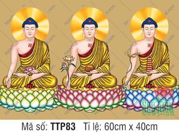 Hình Tam Thế Phật TTP83, ba Đức Thế Tôn đắp áo y phục vàng