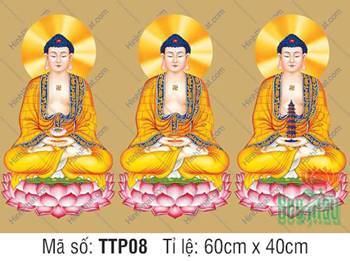 Hình Tam Thế Phật đẹp TTP08, nét vẽ ba Đức Phật ngự đài sen hồng