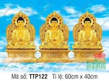 Hình Tam Thế Phật đẹp TTP122, rực rỡ sắc vàng trên nền trời mây