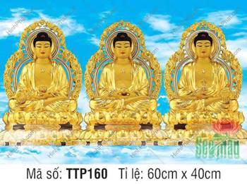 Hình Tam Thế Phật đẹp TTP160, tỏa sáng sắc vàng giữa nền trời mây