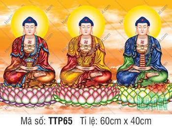 Hình Tam Thế Phật đẹp TTP65, ba vị Phật mặc y phối màu tầng lớp