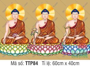 Hình Tam Thế Phật đẹp TTP84, ba Đức Phật khoác y phục màu vàng đất