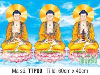 Hình Tam Thế Phật đẹp nhất TTP09, nét vẽ trang nghiêm tịnh độ