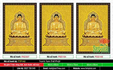 Hình Tam Thế Phật đẹp nhất TTP142