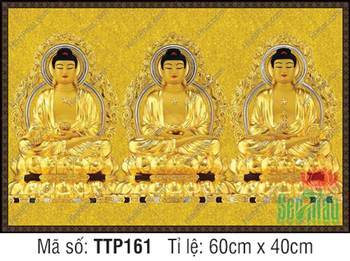 Hình Tam Thế Phật đẹp nhất TTP161, bộ ba họa phẩm hào quang tròn kép