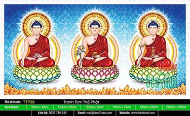 Hình Tam Thế Phật đẹp nhất TTP28