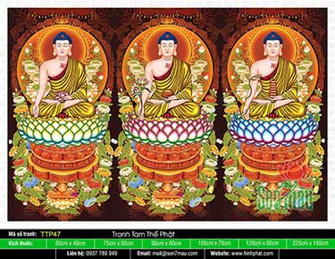Hình Tam Thế Phật đẹp nhất TTP47