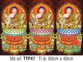Hình Tam Thế Phật đẹp nhất TTP47, ba Đức Phật cầm hoa sen bảo tháp