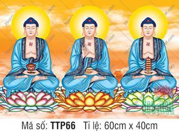 Hình Tam Thế Phật đẹp nhất TTP66, ba Đức Phật khoác áo xanh