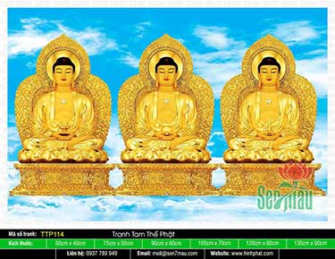 Nam Mô Quá Khứ Hiện Tại Vị Lai Tam Thế Chư Phật TTP114