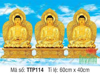 Nam Mô Quá Khứ Hiện Tại Vị Lai Tam Thế Chư Phật TTP114, nền trời mây