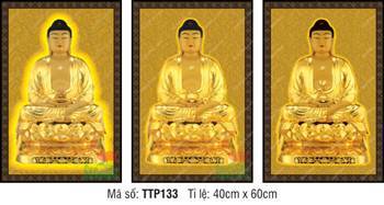 Nam Mô Quá Khứ Hiện Tại Vị Lai Tam Thế Chư Phật TTP133, nền gấm vàng