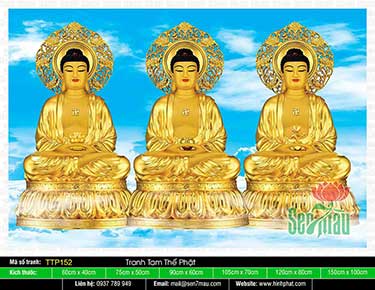 Nam Mô Quá Khứ Hiện Tại Vị Lai Tam Thế Chư Phật TTP152