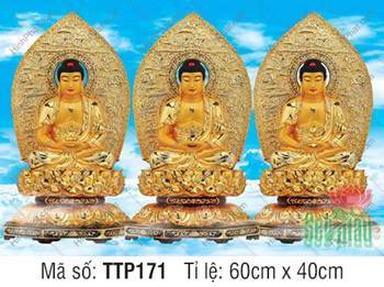 Nam Mô Quá Khứ Hiện Tại Vị Lai Tam Thế Chư Phật TTP171, sắc vàng kim