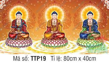 Nam Mô Quá Khứ Hiện Tại Vị Lai Tam Thế Chư Phật TTP19, y phục ba màu