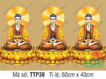 Nam Mô Quá Khứ Hiện Tại Vị Lai Tam Thế Chư Phật TTP38, nền vàng