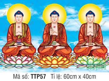 Nam Mô Quá Khứ Hiện Tại Vị Lai Tam Thế Chư Phật TTP57, áo đỏ