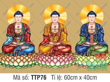 Nam Mô Quá Khứ Hiện Tại Vị Lai Tam Thế Chư Phật TTP76, y gấm tỏa sáng