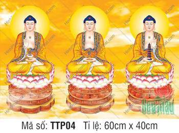 Tam Thế Chư Phật TTP04, ba Đức Phật ngự nền mây vàng
