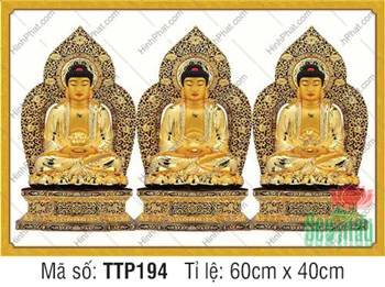 Tam Thế Chư Phật TTP194, bộ ba họa phẩm hào quang ren bồ đề