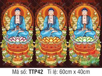 Tam Thế Chư Phật TTP42, ba vị Đức Phật mặc áo xanh lam
