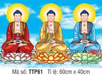 Tam Thế Chư Phật TTP61, ba sắc áo khoác thiền tịnh