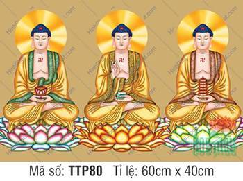 Tam Thế Chư Phật TTP80, ba vị Phật choàng áo y gấm tôn nghiêm