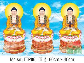 Tam Thế Nhất Thiết Chư Phật TTP06, nét ngài từ bi tỏa hào quang