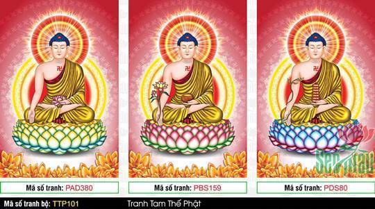 Tam Thế Nhất Thiết Chư Phật TTP101, bộ ba bức đứng nền đỏ