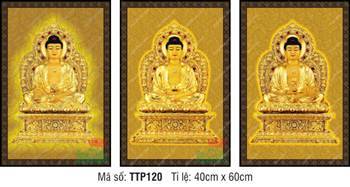 Tam Thế Nhất Thiết Chư Phật TTP120, sắc vàng kim viền sẫm màu