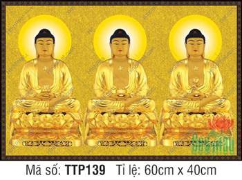 Tam Thế Nhất Thiết Chư Phật TTP139, nét vàng hoàng kim thanh tịnh