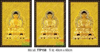 Tam Thế Nhất Thiết Chư Phật TTP158, bộ ba họa phẩm nền gấm vàng sa