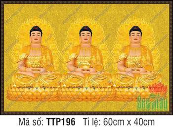 Tam Thế Nhất Thiết Chư Phật TTP196, rực rỡ quầng hào quang vân lửa