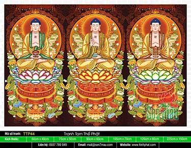 Tam Thế Nhất Thiết Chư Phật TTP44