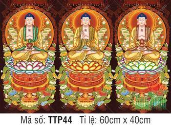 Tam Thế Nhất Thiết Chư Phật TTP44, ba Đức Phật khoác y bào hoàng kim Tam Thế Nhất Thiết Chư Phật TTP44, ba Đức Phật khoác y bào hoàng kim