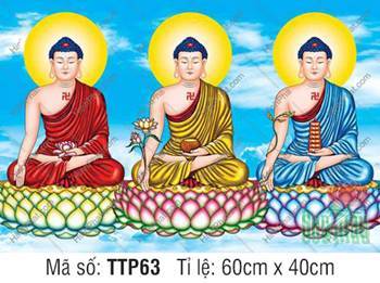 Tam Thế Nhất Thiết Chư Phật TTP63, ba Đức Phật mặc y phục ba màu