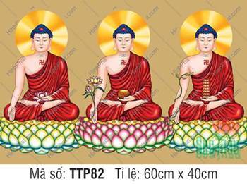 Tam Thế Nhất Thiết Chư Phật TTP82, sắc đỏ cà sa thanh tịnh