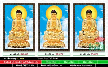 Tam Thế Phật - Size Lớn TTP176