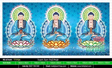 Tam Thế Phật - Size Lớn TTP24