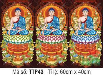 Tam Thế Phật Size Lớn TTP43, Ba Vị Phật Đắp Y Xanh Lam Tọa Thiền