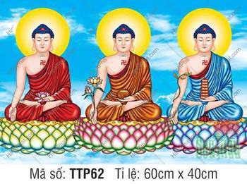 Tam Thế Phật Size Lớn TTP62, ba Đức Phật đắp y ba màu trang nghiêm