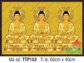 Tam Thế Phật TTP153, bộ ba Đức Phật sắc hoàng kim ngự tòa sen báu