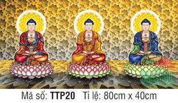 Tam Thế Phật TTP20, nét đẹp ba Đức Phật ngự tòa sen