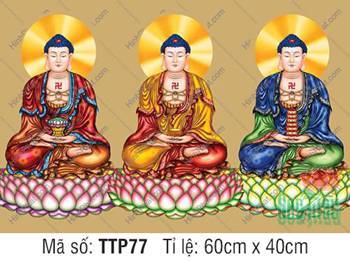 Tam Thế Phật TTP77, ba vị Thế Tôn đắp áo y phục đa tầng lớp