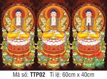 Tam Thế Phật đẹp TTP02, ba Đức Phật tọa thiền trang nghiêm